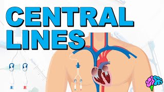 The Basics of Central Lines  Central Venous Catheters CVC [upl. by Kobylak13]