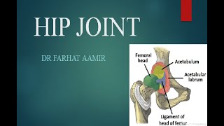 Hip joint Anatomy [upl. by Nnaaras140]