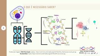 Aula Estrutura do DNA e RNA [upl. by Gish154]