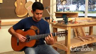 Bossa Nova on Cordoba C10 CD Nylon String Guitar [upl. by Rugen]