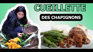 LES DELICIEUX TRESORS DE LA MONTAGNECEPEGIROLLE CHAMPIGNONVIEQUOTIDIENNE IDEE REPASVLOG MOLIE [upl. by Steve]