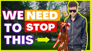 How To Stop A Reactive Dog For Good  The Dog Daddy [upl. by Derick]