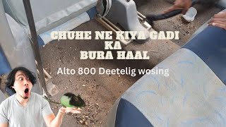 Alto 800 wosing deep cleaning chuhe ne kiya bhura haal Vswashingzone [upl. by Aikemet462]