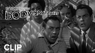 INVASION OF THE BODY SNATCHERS  quotPodsquot Clip  Paramount Movies [upl. by Ardnovahs]