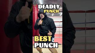 Best PUNCH TechniqueDEADLY Punching boxingtraining mma streetfighter boxing selfdefense [upl. by Llerred914]