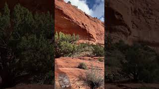 Boynton Canyon Never Gets Old sedona trail hiking hikinglife [upl. by Akcirederf892]