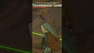 THUNDERBLIGHT GANON BOSS FIGHT zelda botw gaming nintendo shorts [upl. by Atina308]