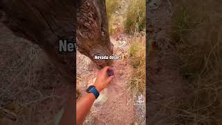 what is a geocache this video explains everything you need to know download the geocaching app 👀 [upl. by Loren]