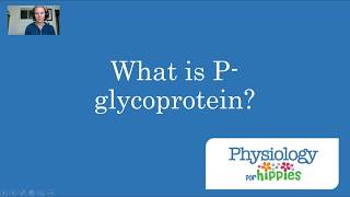 What is Pglycoprotein [upl. by Kresic]