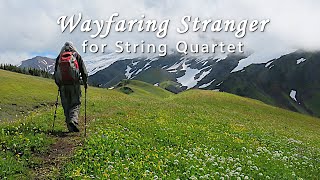 Wayfaring Stranger Easy String Quartet [upl. by Abate963]