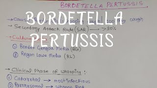 Video no  13 Bordetella Pertussis in Hindi।Gram Negative bacteria । Enterobacteriace [upl. by Benge627]