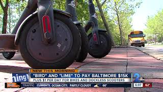 Dockless scooter bike companies to pay Baltimore to operate in city [upl. by Mikes]