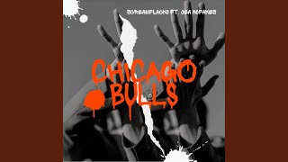 Chicago Bulls [upl. by Bertine]