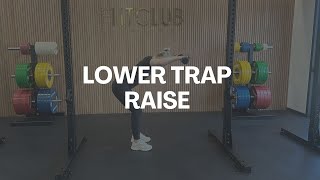 Lower Trap Raise [upl. by Askari]