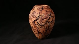 Lichtenberg Fractal Burned Vessel [upl. by Ahselaf]