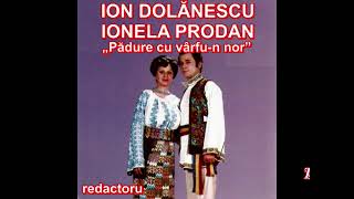 INEDIT  ION DOLĂNESCU IONELA PRODAN Pădure cu vârfun nor [upl. by Erick54]