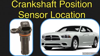 Crankshaft Position Sensor location on a 2014 Dodge Charger 36L [upl. by Nnylekoorb]