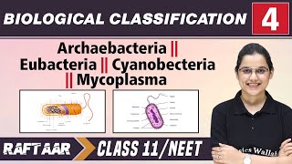 Biological Classification 04  Archaebacteria l Eubacteria l Mycoplasma l Class 11NEET  RAFTAAR [upl. by Urson883]