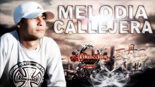 Melodia Callejera  No Podre Ser Amado [upl. by Notterb976]