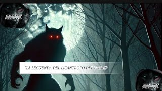 quotLA STORIA DEL LICANTROPO DEL BOSCOquot video horrorstories viralvideo [upl. by Hayotal]