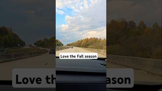 FALL SEASON fallseason shortsvideo shortsfeed shortvideo shorts short shortsviral usa [upl. by Irehc]