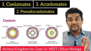 Coelom or Body Cavity  Animal Kingdom  Class 11 NEET Exam🔥biharibiology [upl. by Ateekal]