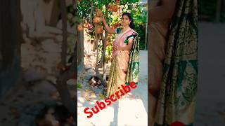 Jab Se Dekha Tumkoshoets bollywood song music [upl. by Thgirw]