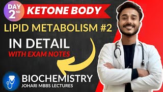 ketone body biochemistry  ketone body metabolism  utilization of ketone bodies  ketogenesis [upl. by Ettevroc]