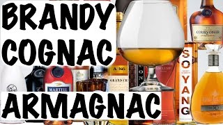 Cognac Brandy and Armagnac  Alcohol 101 [upl. by Eemla]