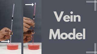 Vein Model  ThinkTac  DIY Science [upl. by France693]