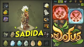 LA MEILLEURE CLASSE DE DOFUS SADIDA [upl. by Wilde]