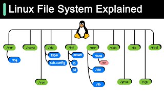 Linux File System Explained [upl. by Tewell]