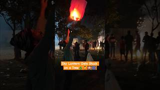 Sky Lantern Gets Stuck On a Tree diwalifestival diwali diwalicelebration dipawali diwali2024 [upl. by Saref]