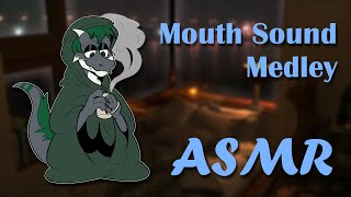 Furry ASMR  Dragon Mouth Sound Medley [upl. by Akinad]