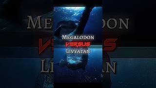 Megalodon VS Livyatan amp Sperm Whale edit prehistoricanimals battle [upl. by Nollie]