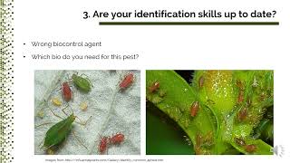 Quality assessment of biocontrol agents [upl. by Danete]