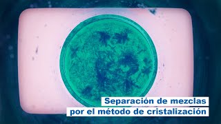 Separación de Mezclas por el Método de Cristalización CuSO4 PROFFE NEQUIZ [upl. by Gewirtz615]