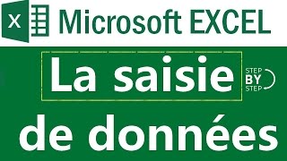 La saisie de données sous Microsoft Excel [upl. by Margit971]