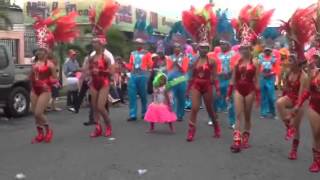 Carnaval Bonao 2015video 05 [upl. by Yrahcaz126]