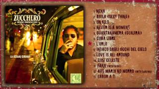 Zucchero  La Sesión Cubana Anteprima nuovo album [upl. by Ilaw]