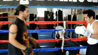 Steven Ho Boxing Training at Westside Boxing Club Los Angeles [upl. by Victorine]