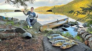 Six Days Camping in the Deep Wilderness  Catch and Cook my Dinner [upl. by Ytissac]