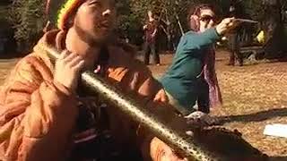 didgeridoo beatbox and dance [upl. by Secnarf]