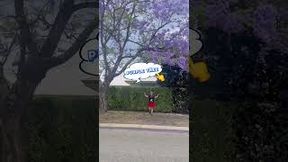 UNDER PURPLE TREE  AULIFE 🇦🇺 vlog youtubeshorts travel travel trending [upl. by Manup679]