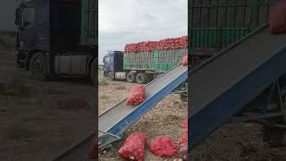 Truck Loading conviar belt 😱😱😱youtubeshorts machine shortsviral [upl. by Laing]