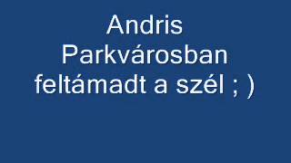 Andris Parkvárosban feltámadt a szél [upl. by Nlycaj]