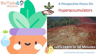 Learn all about Hyperaccumulators and Phytomining in 10 Minutes [upl. by Jessamyn]