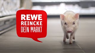 Weihnachtsspot REWE Reincke Augsburg [upl. by Weingartner]