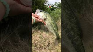 Catch and Release Bass Fishing 😂🐠 outdoors bassfishing fishing comedy [upl. by Mandelbaum]