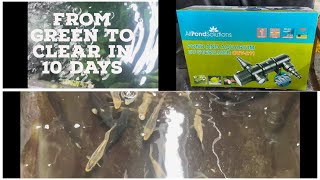 All Pond Solutions UV Light Steriliser Clarifier Filter CUV211 Green To Clear In 10 Days Review [upl. by Gilemette772]